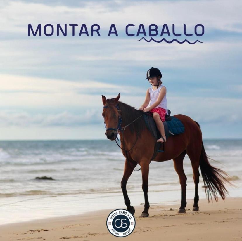 Hotel Boutique Cabo Sur Мохакар Экстерьер фото
